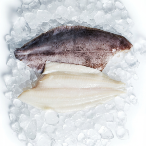 Lemon Sole - Wild Large Fillet