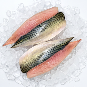 Mackerel - Fillets