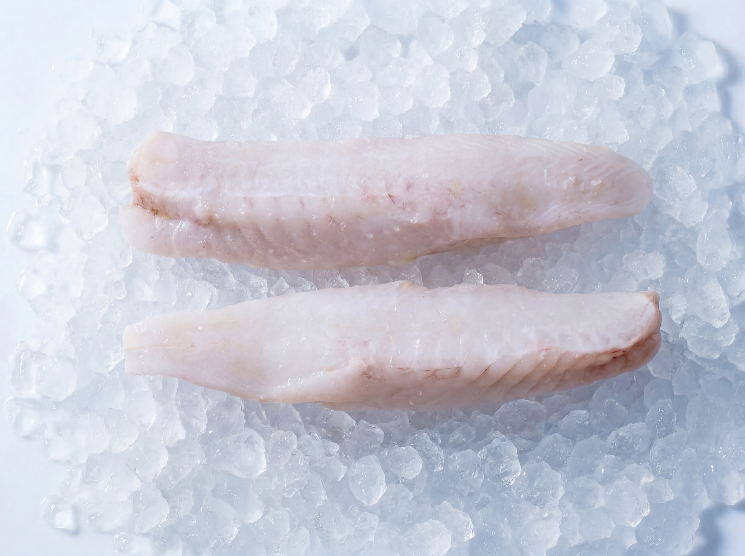 Monk Fish - Fillets