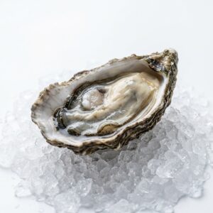 Oysters