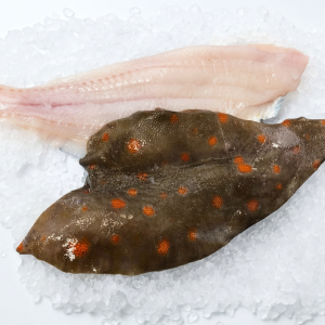 Plaice - Fillets