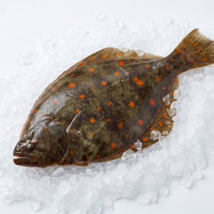 Whole Plaice