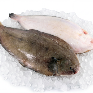 Whole Black Sole
