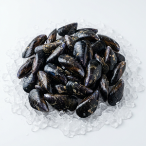 Mussels