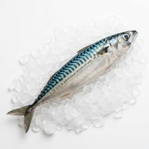 Whole Mackerel
