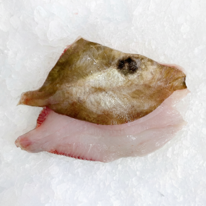 John Dory - Fillets